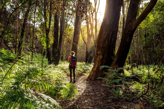 120 Minutes in Nature: The Weekly Dose for Better Health & Wellbeing